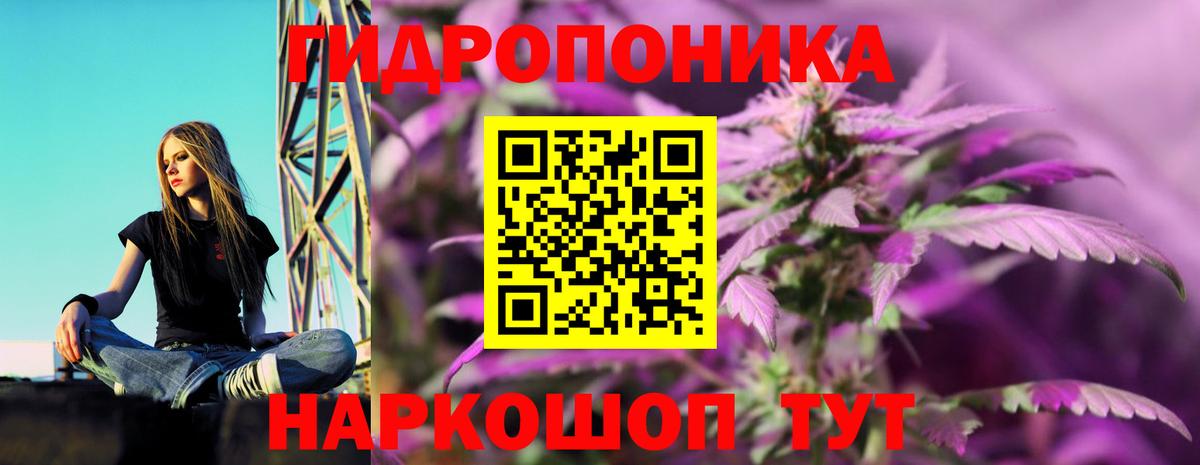 МАРИХУАНА индика  Вход с VPN  Шишки марихуана AK-47  Обь  Конопля гибрид 